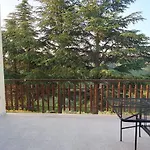 La Lepre Nella Luna *