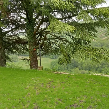 La Lepre Nella Luna Gualdo Tadino